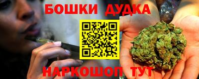 индика Жуковский