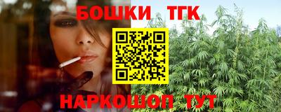 индика Жуковский