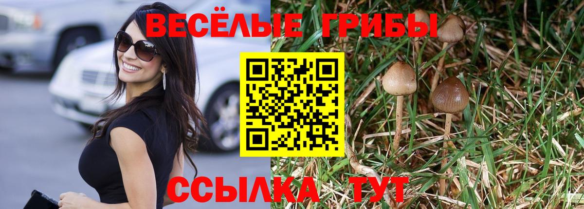 Галлюциногенные грибы Psilocybine cubensis  Вход с VPN  Галлюциногенные грибы Psilocybine cubensis  Ливны 